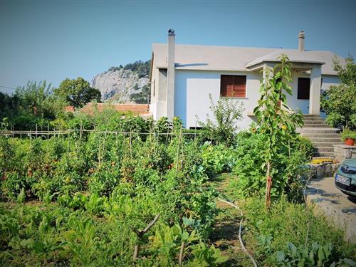 Ferielejlighed - 4 personer -  - 21253 - Gata