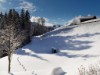 Bild 42 - Ude