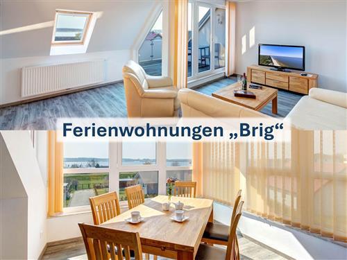 Feriesenter - 4 personer -  - Zum Hafen - 17449 - Peenemünde