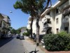 Bild 20