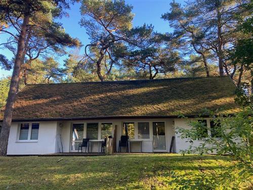 Sommerhus - 4 personer -  - Zeltplatzstraße - 17449 - Karlshagen