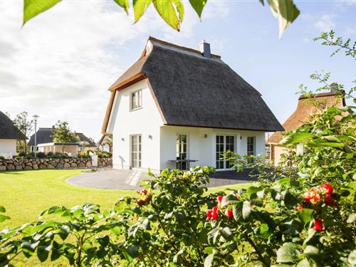 Feriehus - 4 personer -  - 18356 - Fuhlendorf