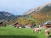 Bild 32