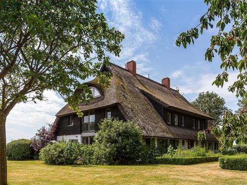 Ferielejlighed - 3 personer -  - Barnstorf - 18347 - Ostseebad Wustrow