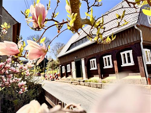 Fritidshus - 4 personer -  - Grossschönau - 02799