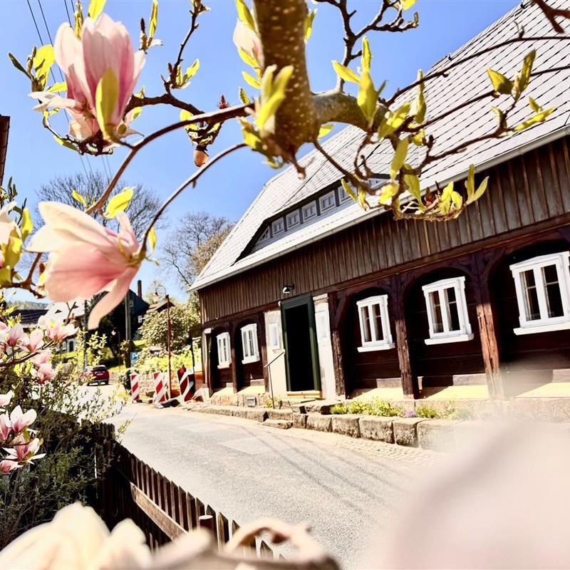 Sommerhus - 4 personer -  - Grossschönau - 02799