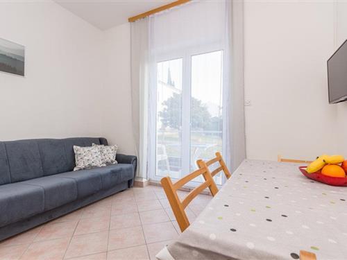 Holiday apartment - 4 persons -  - Put Primorja - Biograd-Sv.Filip I Jakov - 23207 - Sveti Filip I Jakov