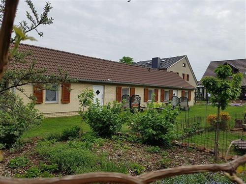 Ferieleilighet - 4 personer -  - Byhleguhrer Dorfstraße - 15913 - Byhleguhre