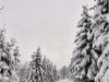Bilde 20
