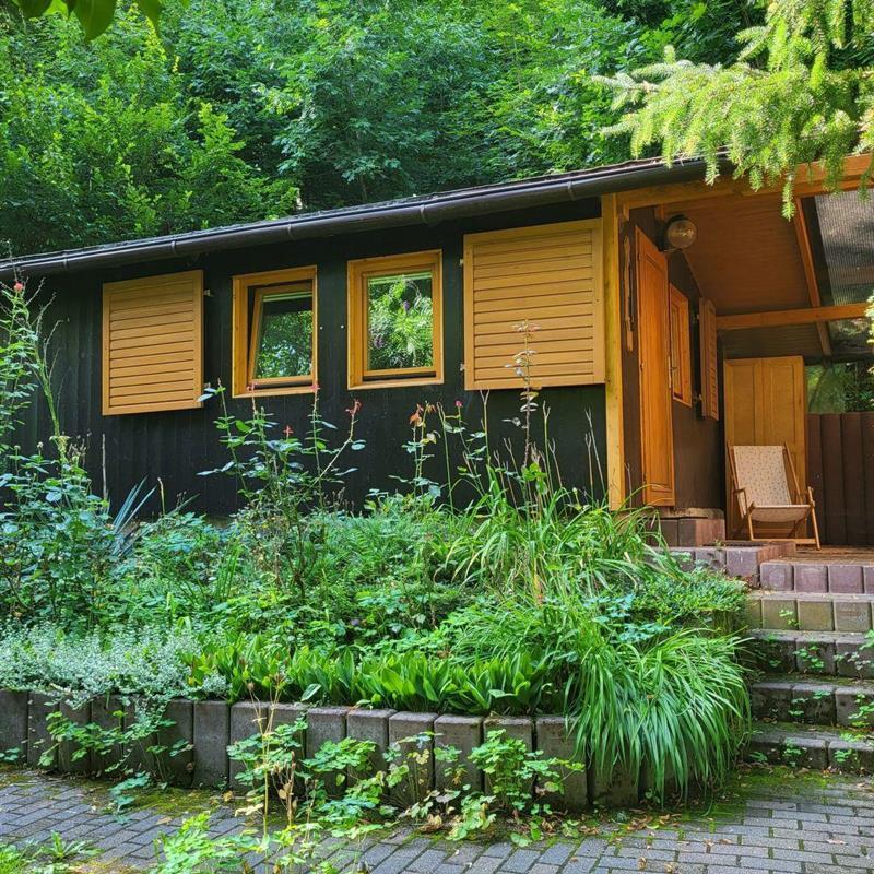 Sommerhus - 4 personer -  - Königstein - 01824