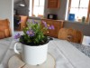 Bild 17