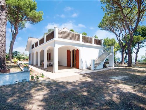 Sommerhus - 8 personer -  - 61122 - Pesaro