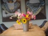 Bild 15