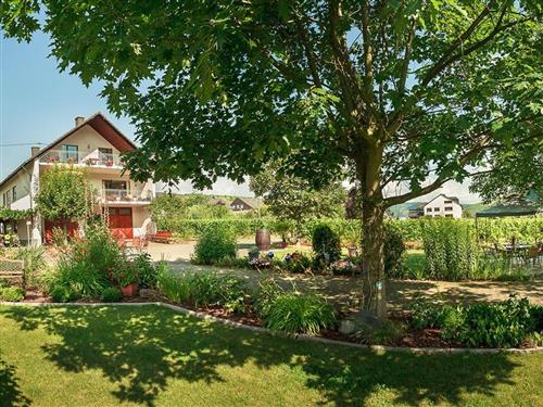 Ferieleilighet - 3 personer -  - Johannes-Trithemius-Straße - 54349 - Trittenheim