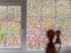 Image 20 - Outside