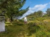 Billede 31 - Grund