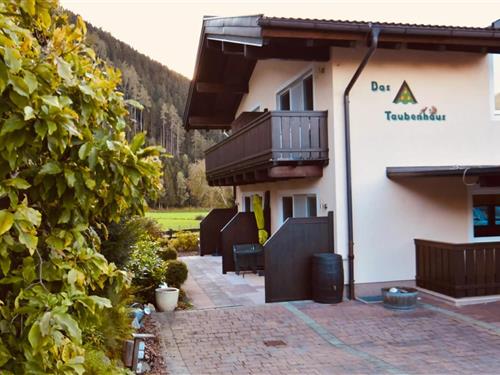 Ferielejlighed - 6 personer -  - 5731 - Hollersbach Im Pinzgau