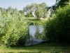 Bild 15