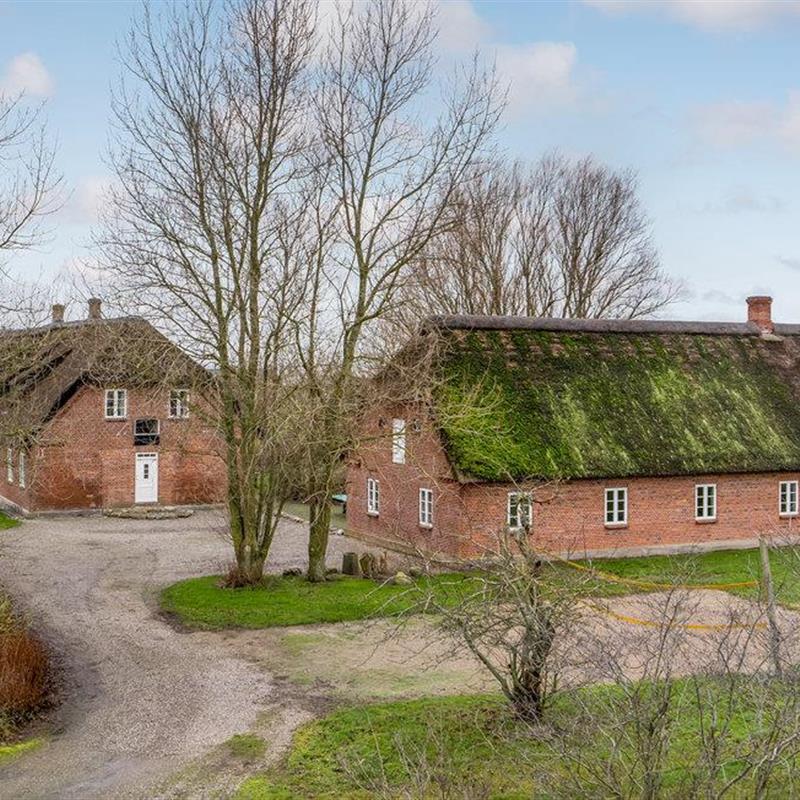 Sommerhus - 18 personer -  - Vesterende - Ballum - 6261 - Bredebro