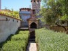 Image 15