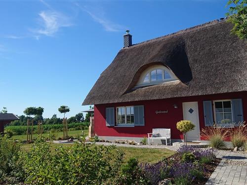 Sommerhus - 6 personer -  - De Poeler Drift - 23968 - Zierow