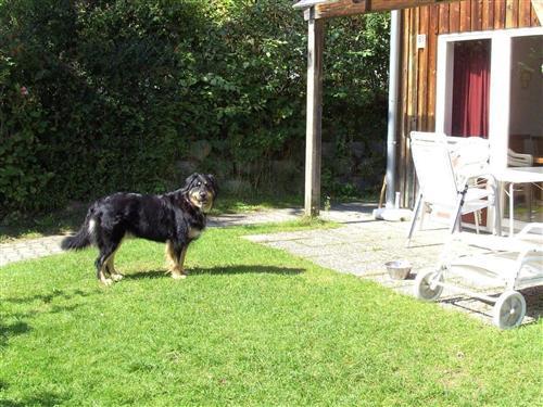 Ferienhaus - 5 Personen -  - Zandt - 93499