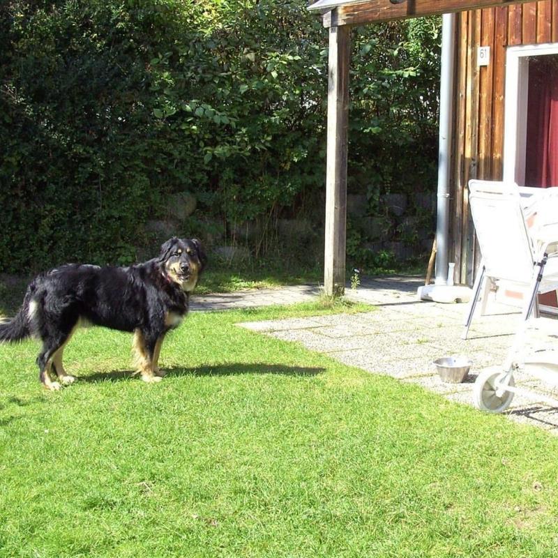 Sommerhus - 5 personer -  - Zandt - 93499