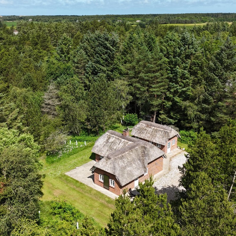 Ferienhaus - 4 Personen -  - Svollingvej - Vester Husby - 6990 - Ulfborg