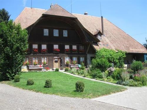 Holiday Home/Apartment - 6 persons -  - Bleicheweg - 4938 - Rohrbach