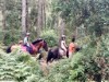 Bild 14 - Innen