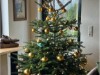 Bild 16