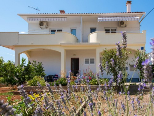 Holiday apartment - 5 persons -  - Ulica - 23231 - Petrcane
