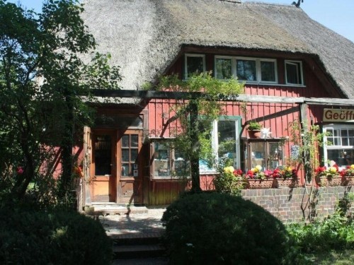 Ferielejlighed - 2 personer -  - Bernsteinweg - 18375 - Prerow