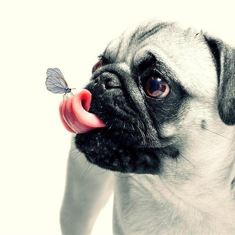 Sommerhus - 7 personer -  - Berliner Straße - 26506 - Norden