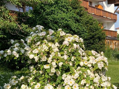  - 2 Personen -  - Andreas-Hofer-Straße - 94072 - Bad Füssing