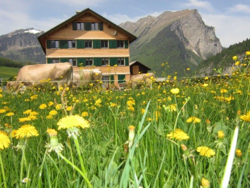 Bauernhof - 6 persons -  - Wieden - 6883 - Au