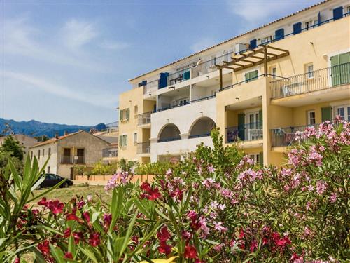 Ferielejlighed - 4 personer -  - Solenzara - 20145