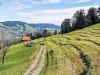 Bilde 5 - Ude