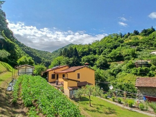 Fritidshus - 6 personer -  - Via Rio - 55021 - Fabbriche Di Vallico