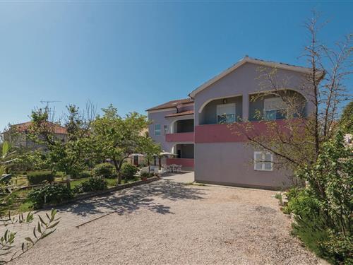 Ferienwohnung - 2 Personen -  - Dure Marusica - 23000 - Zadar