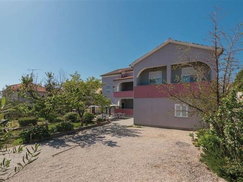 Holiday apartment - 2 persons -  - Dure Marusica - 23000 - Zadar
