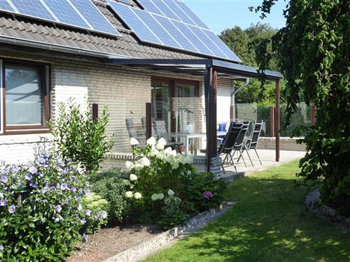 Ferieleilighet - 4 personer -  - Grauwisch - 23774 - Heiligenhafen