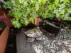 Bild 27 - Aussen