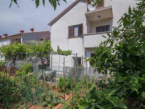 Feriehus / leilighet - 4 personer -  - Mali Lošinj - 51550 - Mali Lošinj