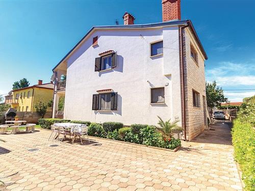 Ferieleilighet - 6 personer -  - Franje Mosnje - Pula-Sisan - 52100 - Sisan