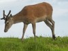 Bild 26 - Innen