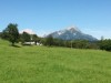 Bild 24