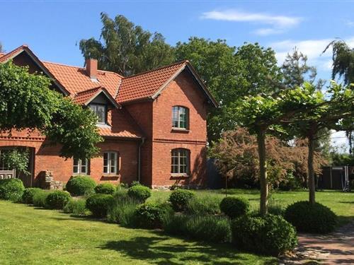 Ferienhaus - 4 Personen -  - 18317 - Saal