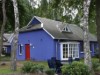 Bild 2