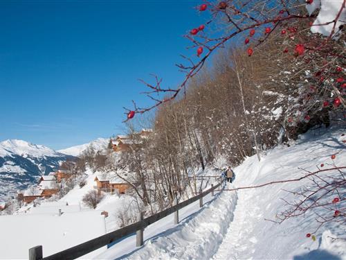 Holiday apartment - 8 persons -  - 1993 - Veysonnaz